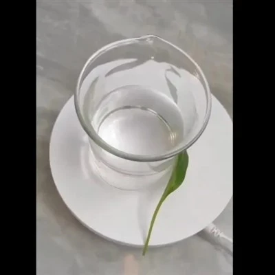 화학 물질에 대한 공장 가격 1 차 알코볼에 톡실 레이트