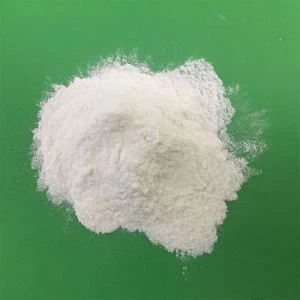 카르복시 메틸 셀룰로오스 (CMC)